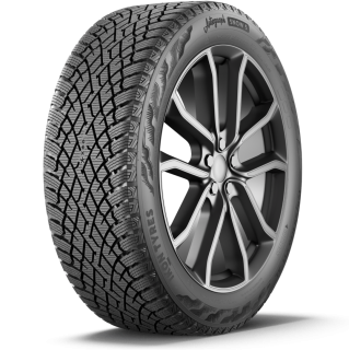 215/55R17 Ikon Tyres Autograph Snow 5 (ГСПК)